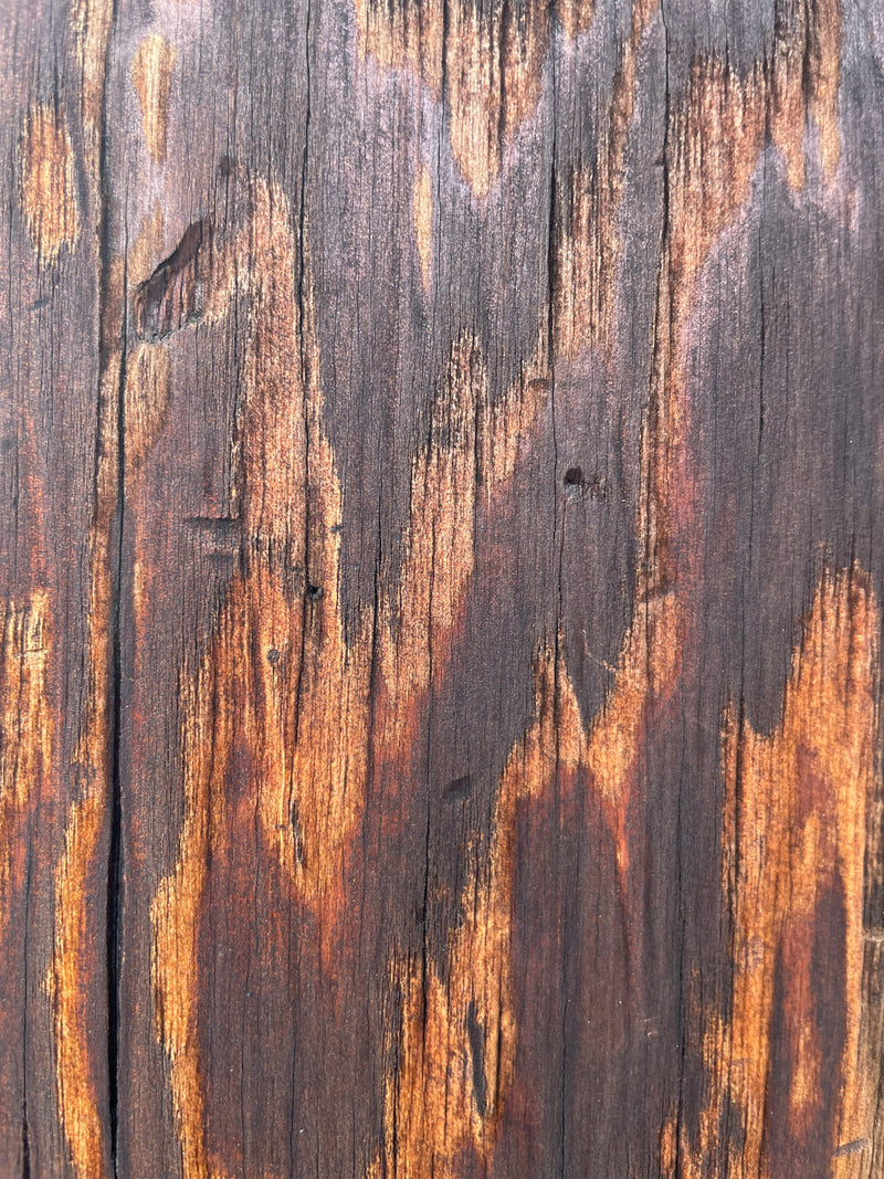 Customer photo using 